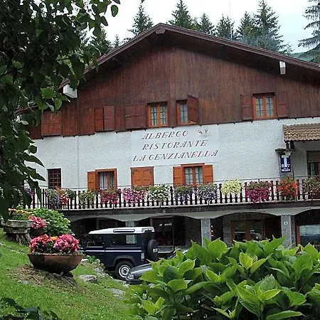 La Genzianella